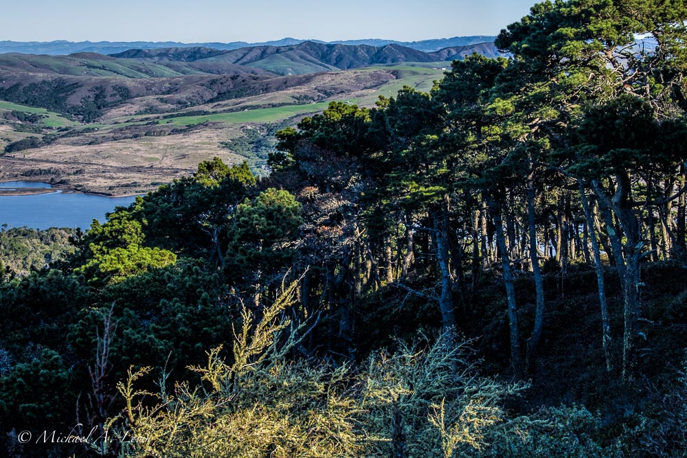 View towards Tomales Bay & Sonoma County