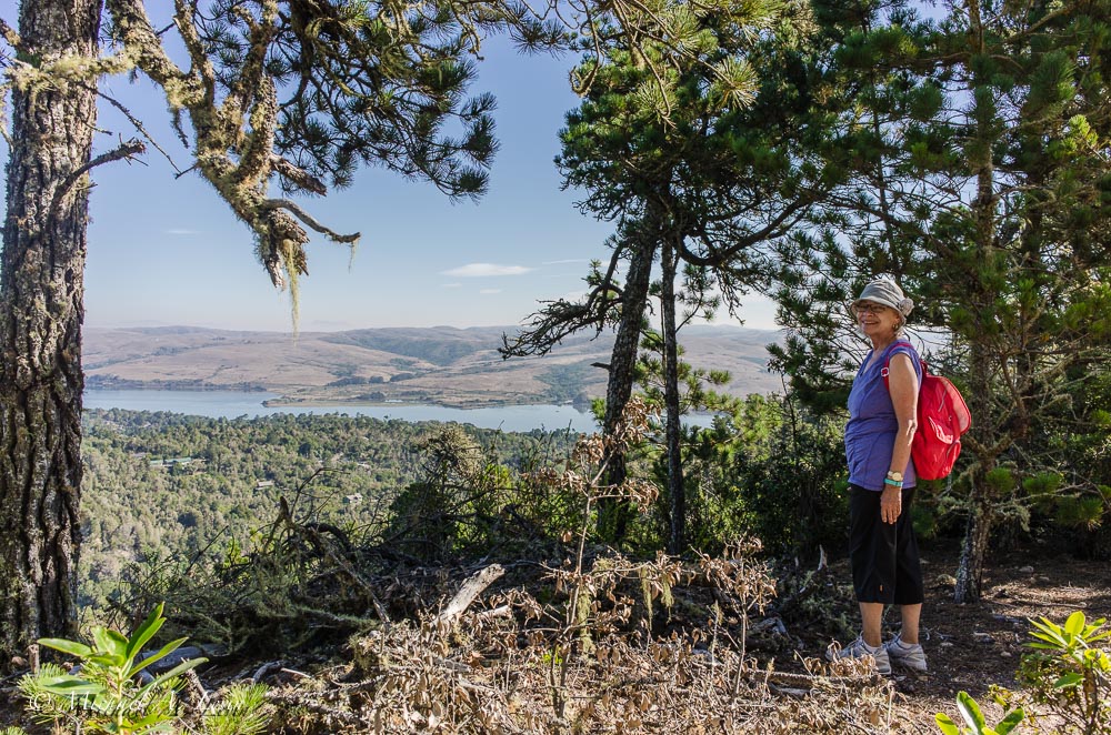 Overlooking Tomales Bay