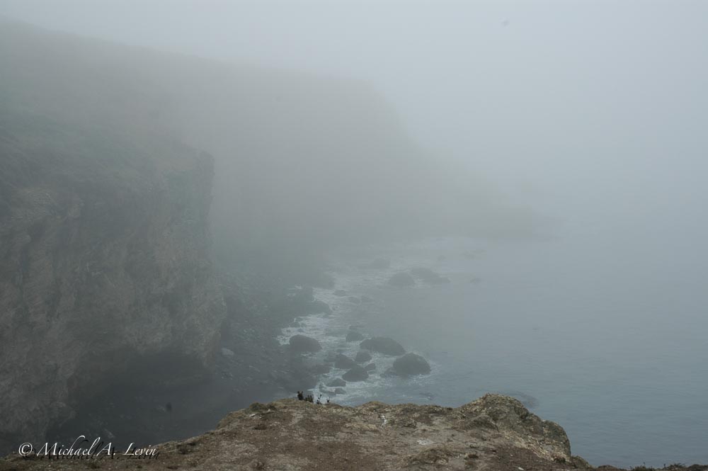Foggy Drakes Bay