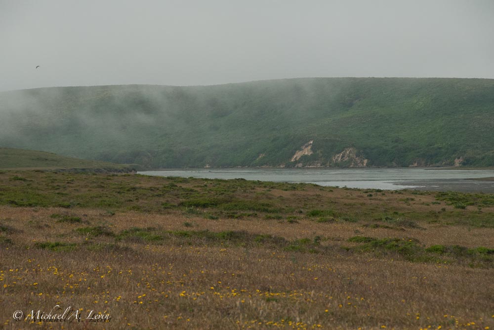 Foggy Landscape towards Creamery Bay