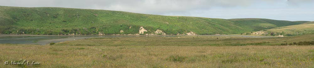 Landscape Panarama