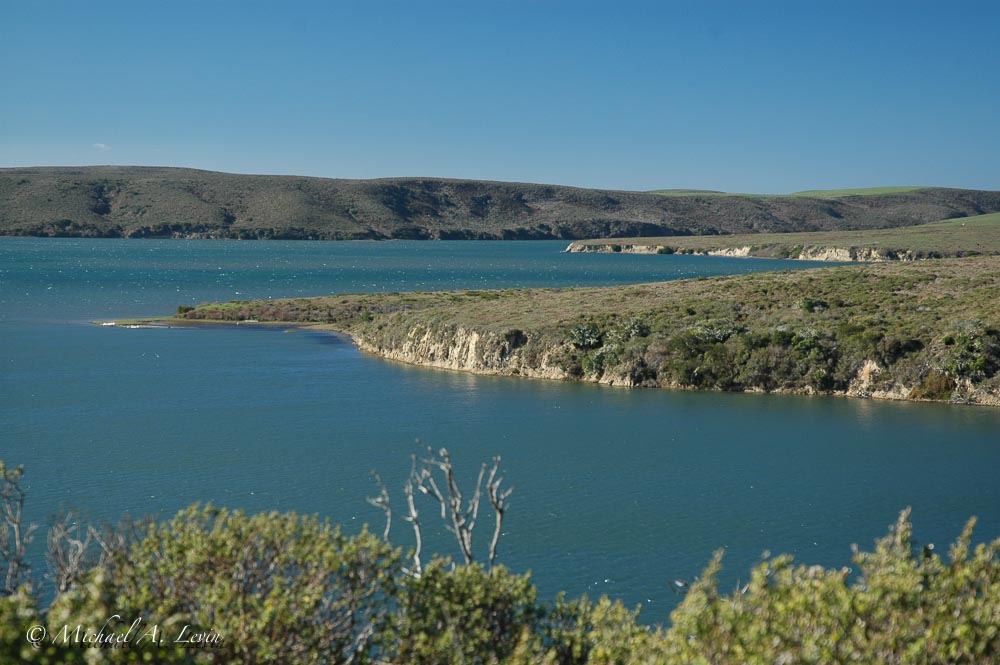 Drakes Estero Marine Conservation Area