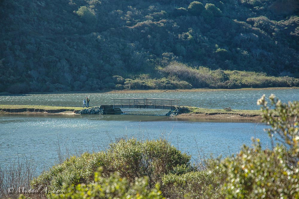 Bridge across Home Bay