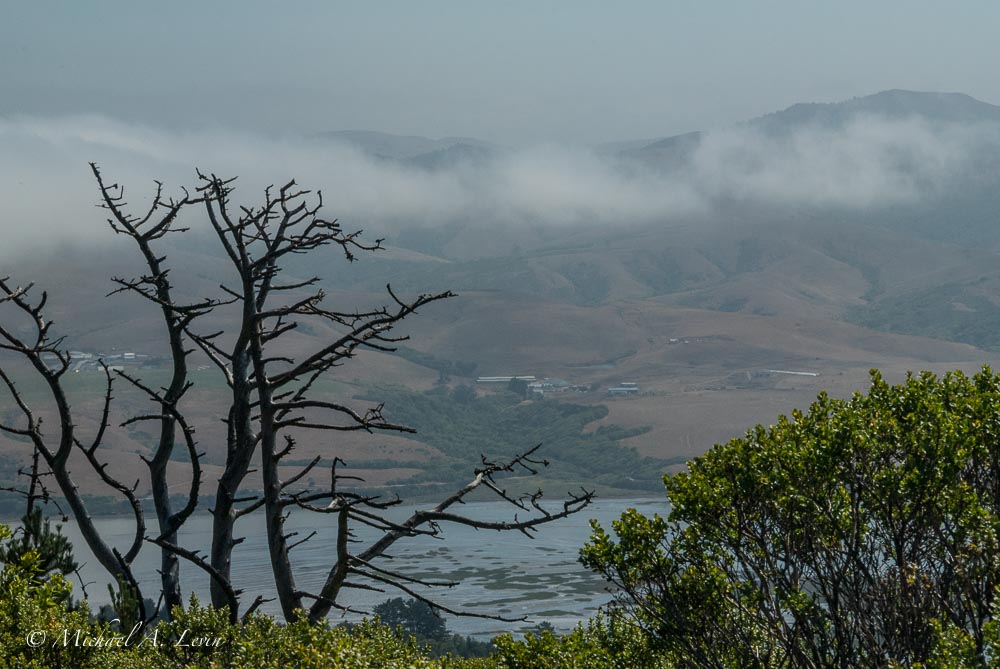 Foggy Landscape towards Tomales Bay