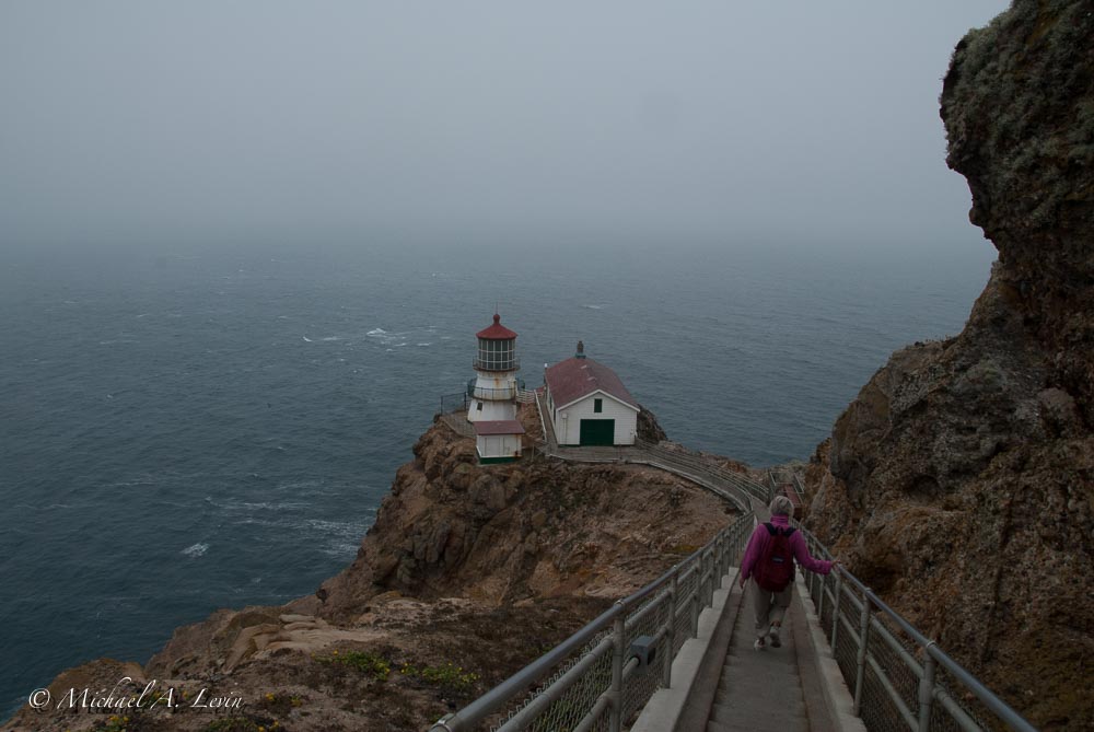 Stairs to Point Reyes Lighthouse