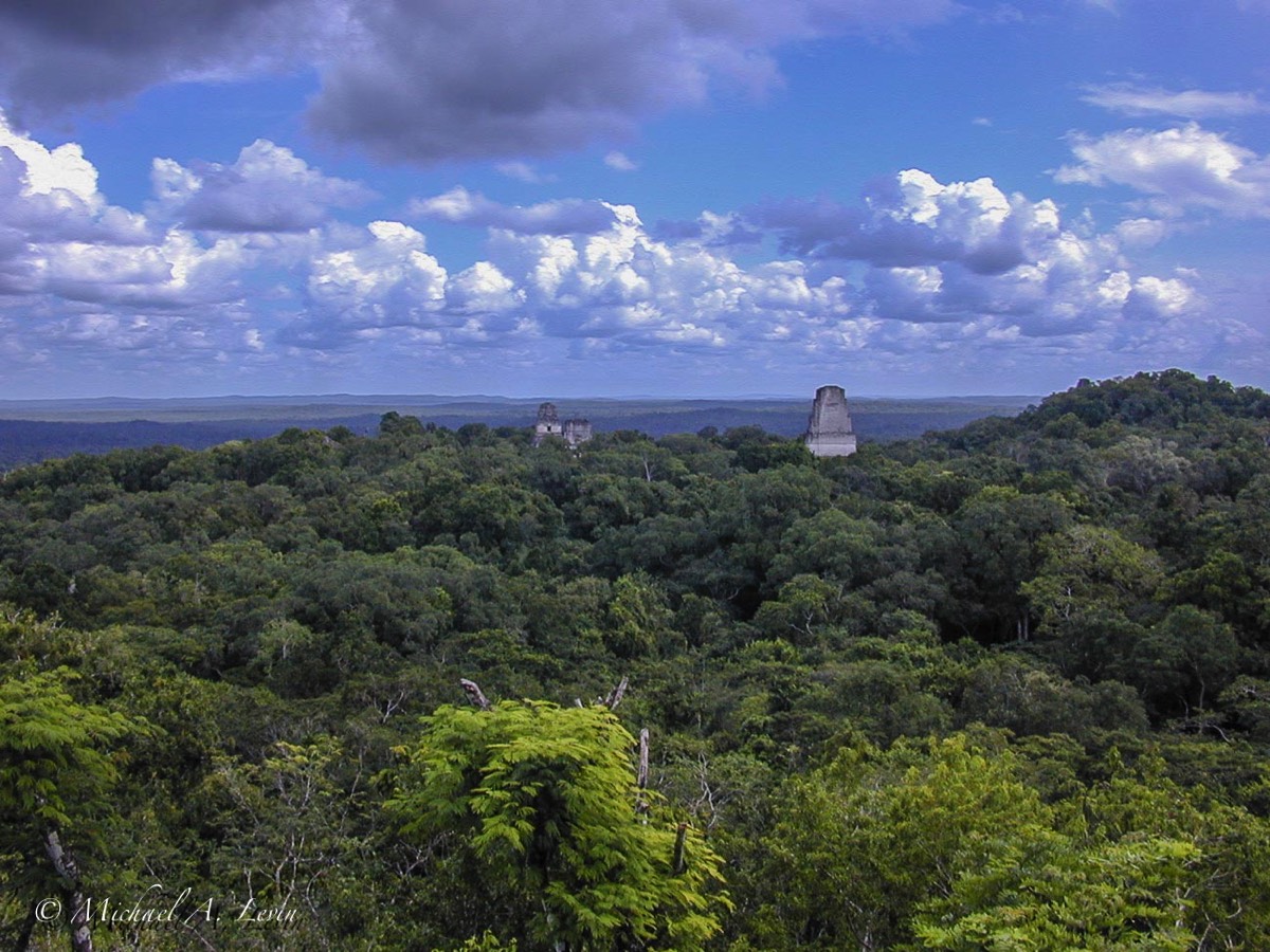 Tikal UN World Heritage Site