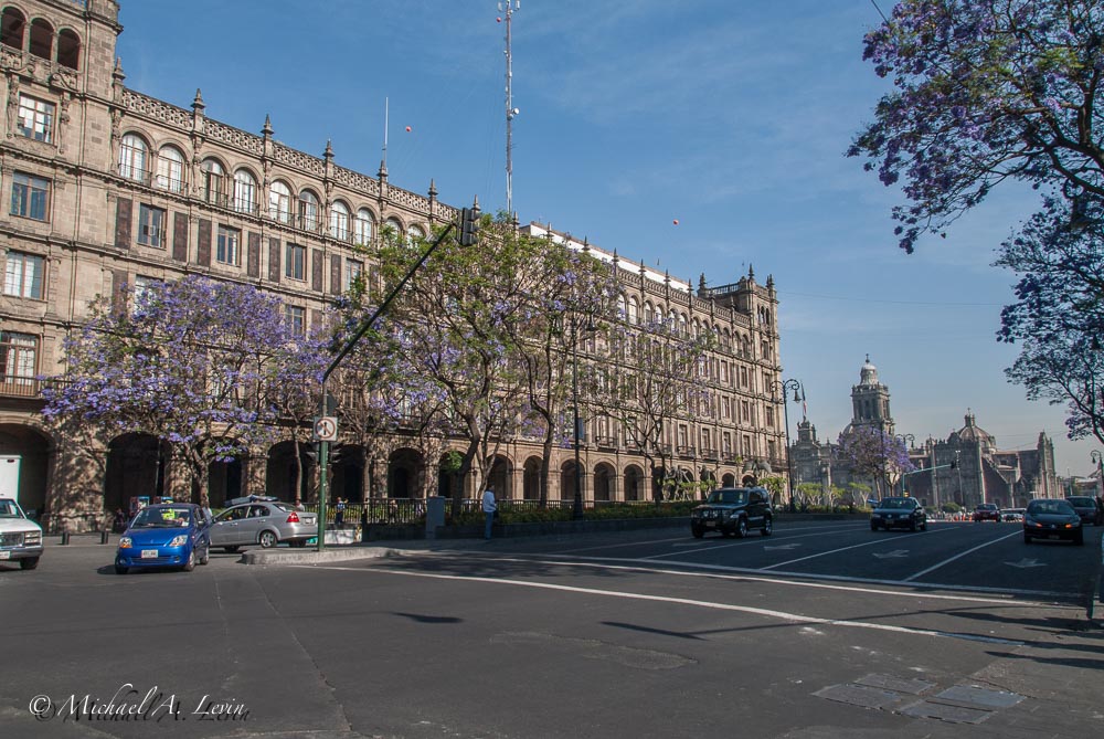 Secretaría del Medio Ambiente (Ministry of the Environment)