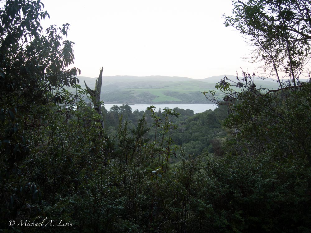 View towards Tomales Bay