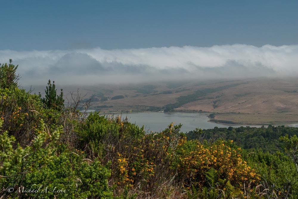 Foggy Landscape towards Tomales Bay