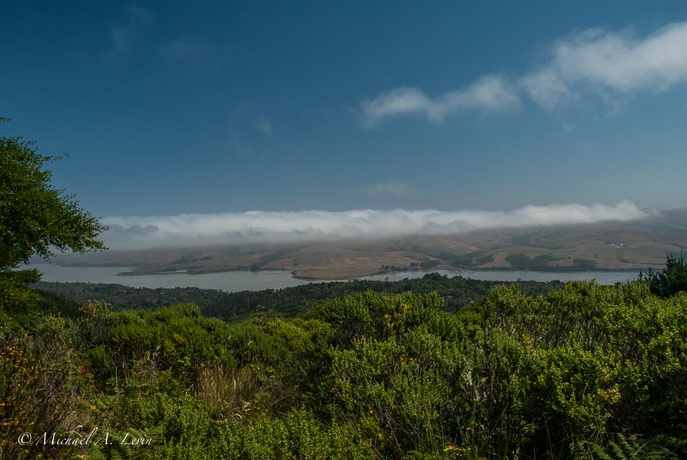 Foggy Landscape towards Tomales Bay