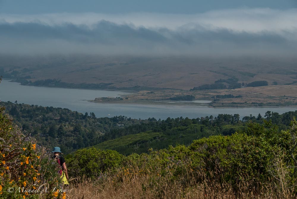 Foggy Landscape towards Tomales Bay