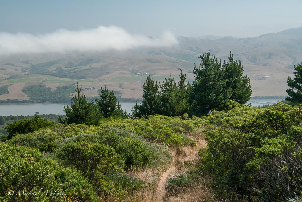 Foggy Landscape towards Tomales Bay