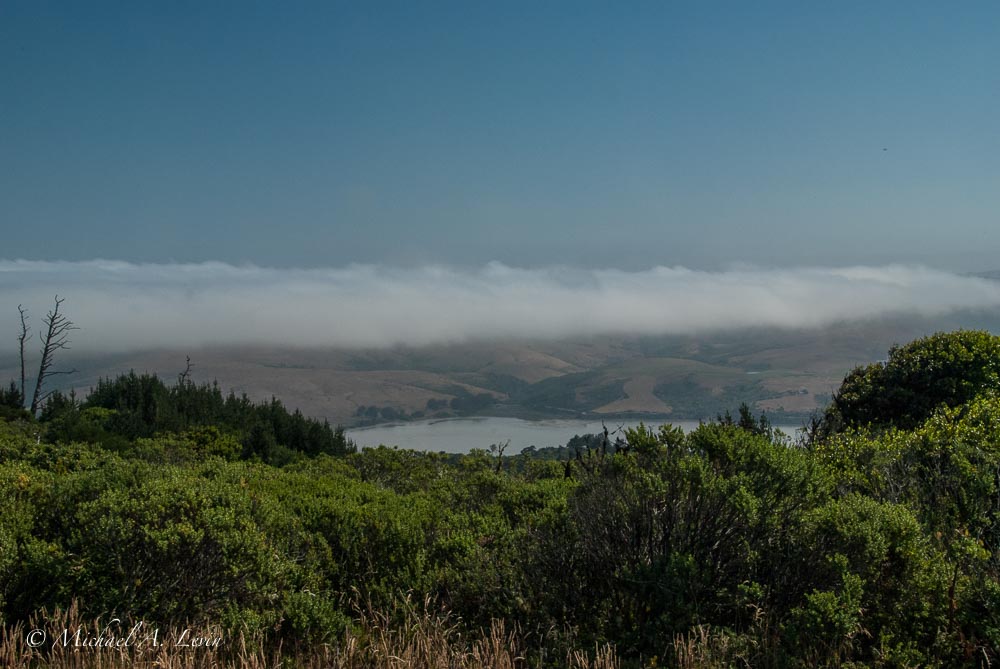 Foggy Landscape towards Tomales Bay