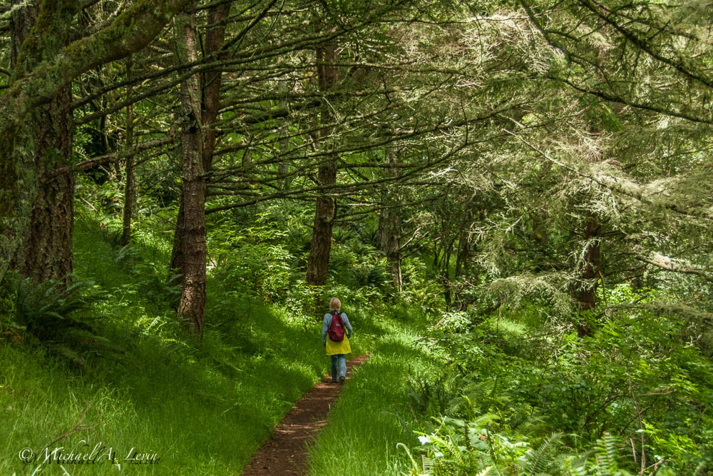 Trail Scape