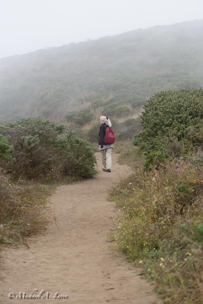 Along the Sandy Trail