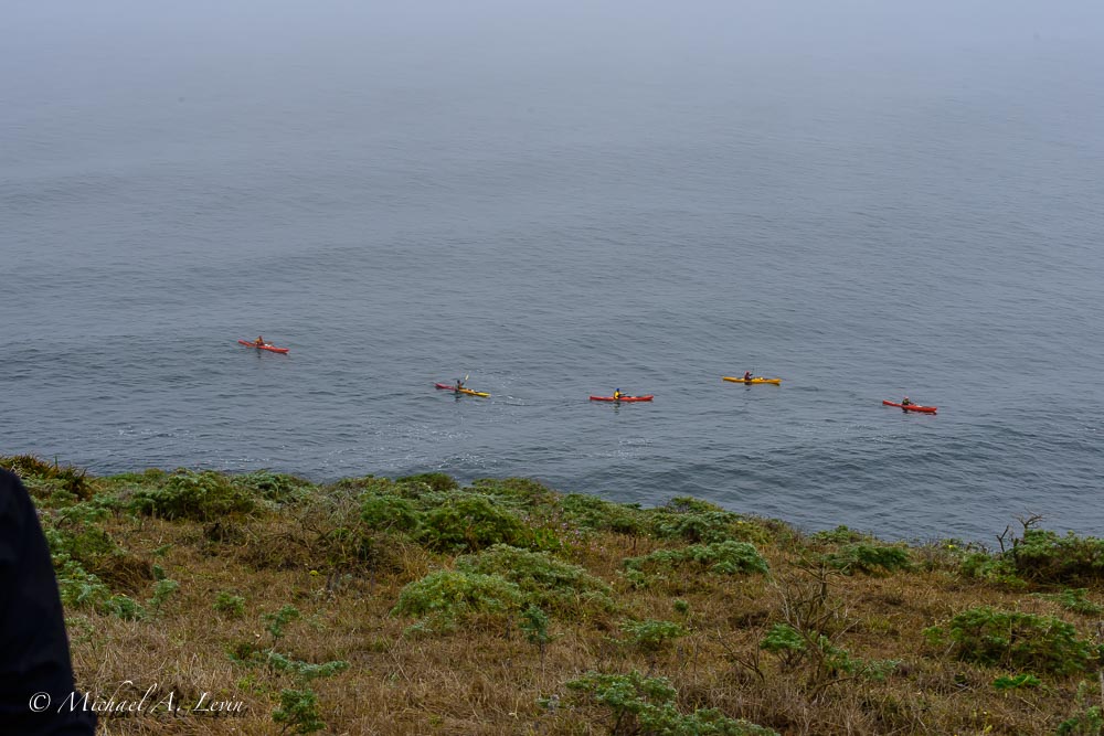 Kayakers